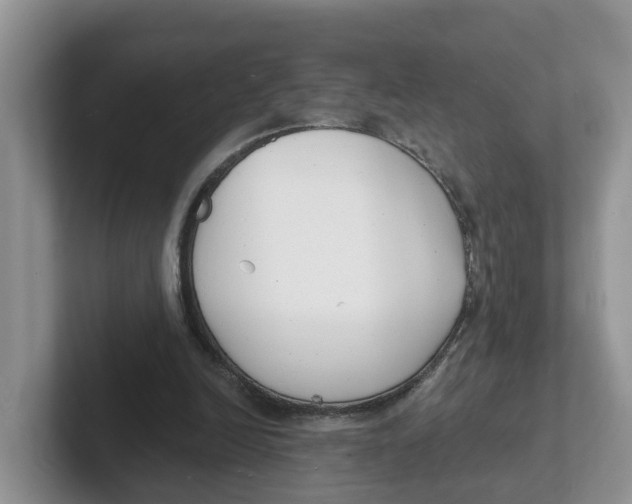 X0000101700246200807311437