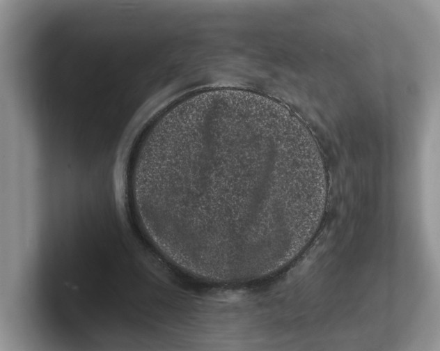 X0000101700247200807311437