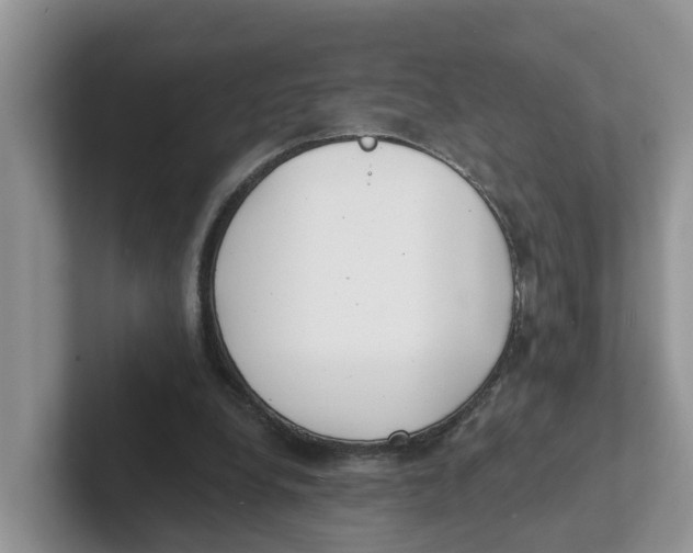 X0000101700248200807311437