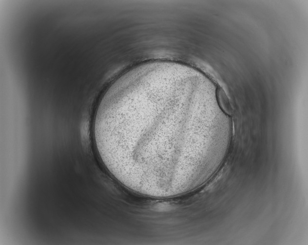 X0000101700249200807311437