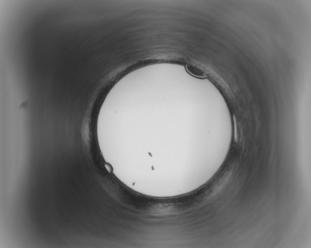 X0000101700252200807311437