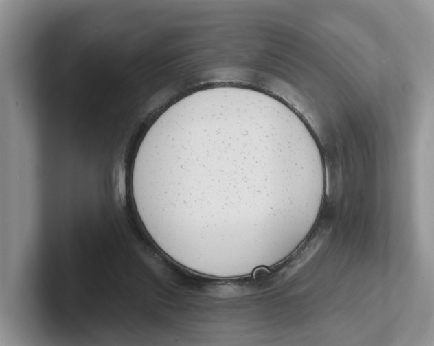 X0000101700253200807311437