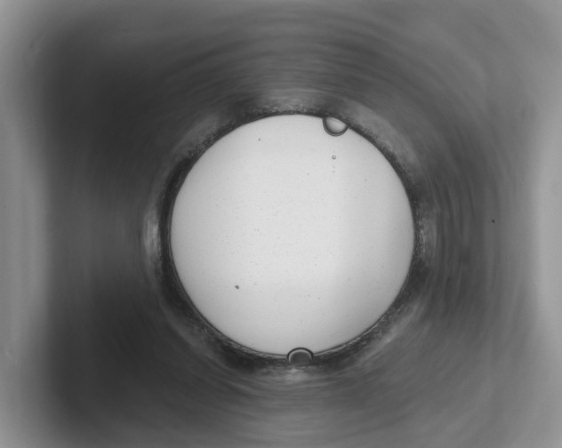 X0000101700254200807311437