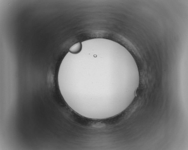 X0000101700258200807311437