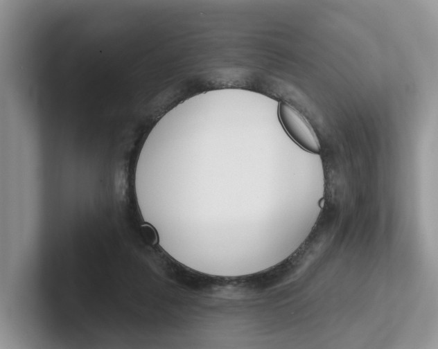 X0000101700259200807311437