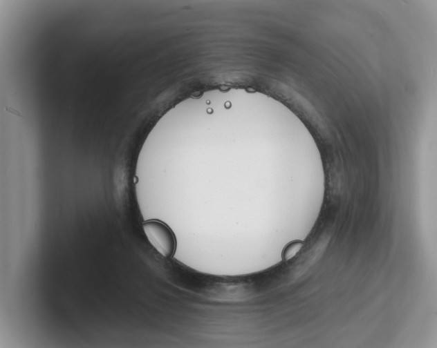 X0000101700260200807311437