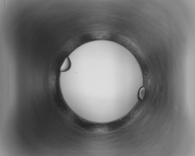X0000101700263200807311438