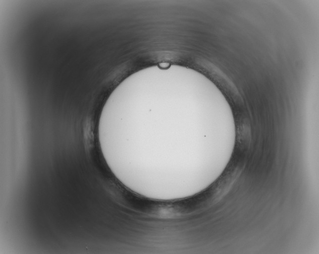X0000101700264200807311438