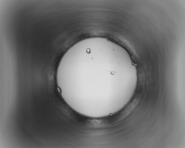 X0000101700265200807311438