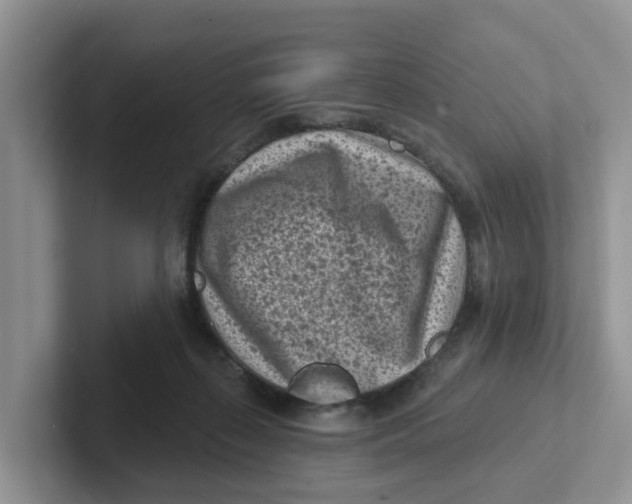 X0000101700267200807311438