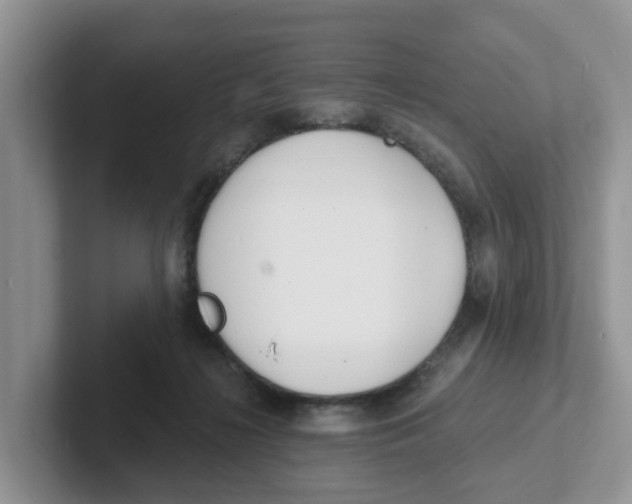 X0000101700268200807311438