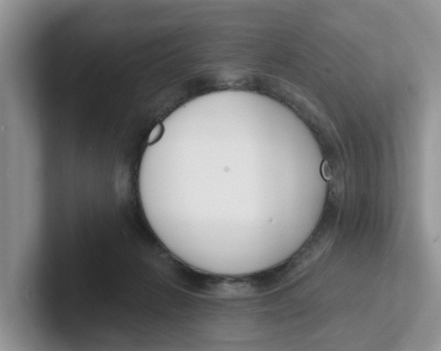 X0000101700270200807311438