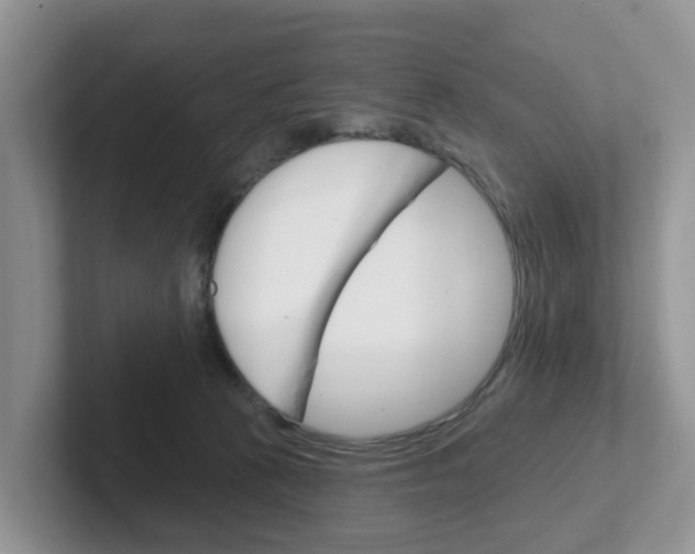 X0000101700273200807311438