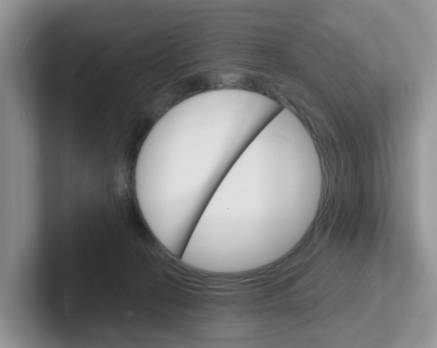 X0000101700274200807311438