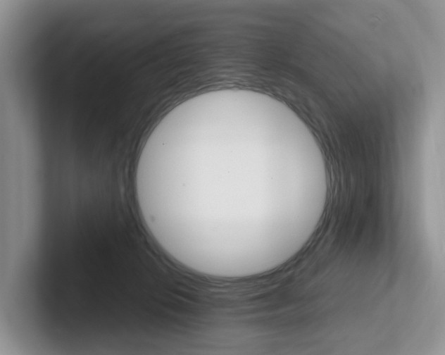 X0000101700276200807311438
