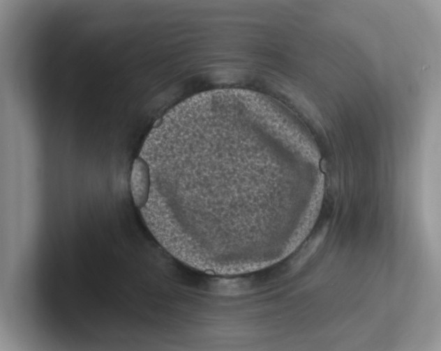 X0000101700277200807311438