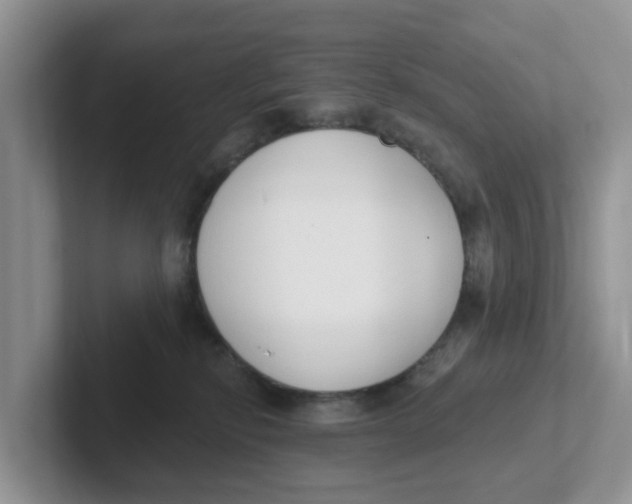 X0000101700278200807311438