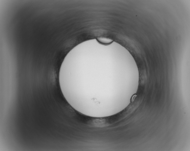 X0000101700279200807311438