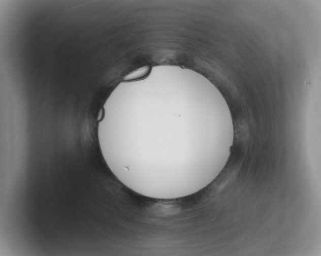X0000101700280200807311438