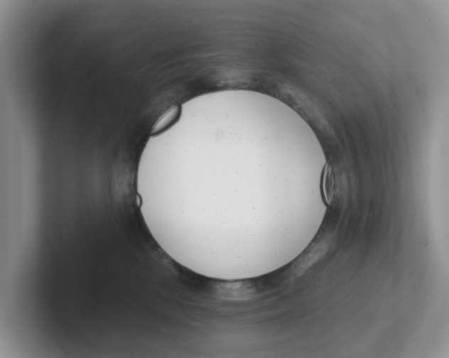 X0000101700281200807311438