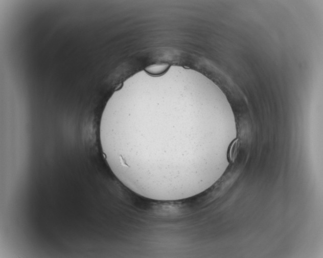 X0000101700282200807311438
