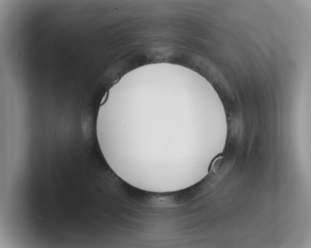 X0000101700283200807311438