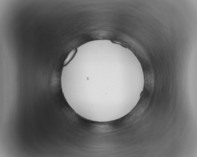 X0000101700284200807311438