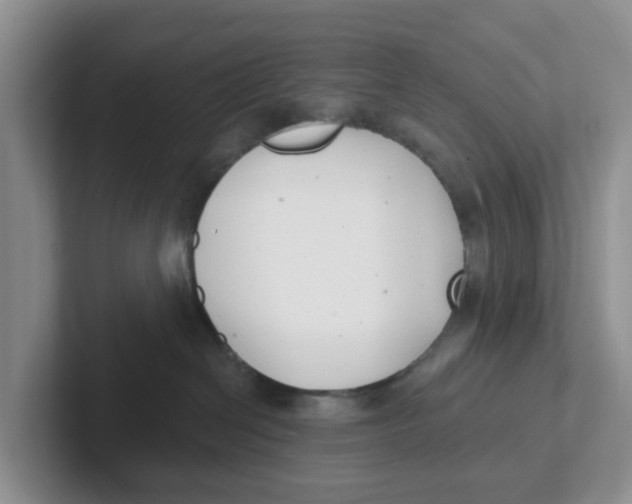 X0000101700286200807311438