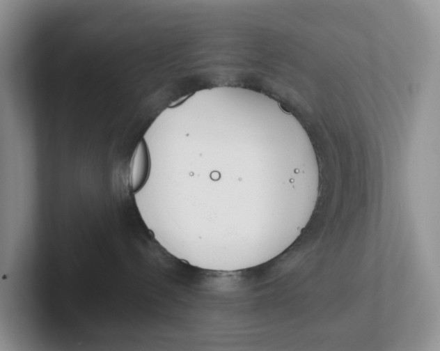 X0000101700288200807311438
