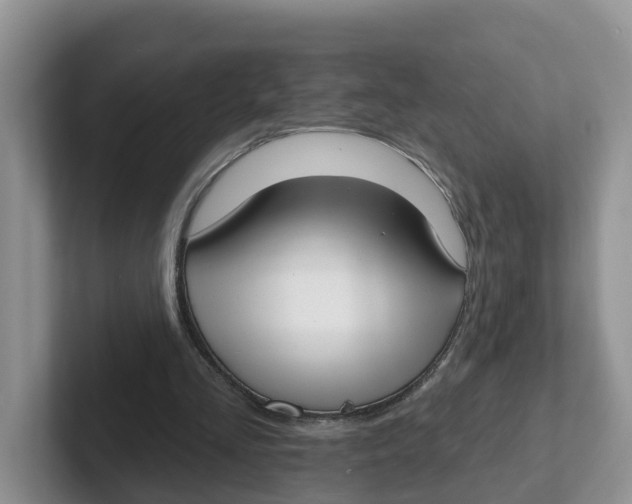 X0000101700293200807311437