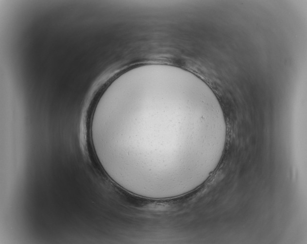 X0000101700294200807311437