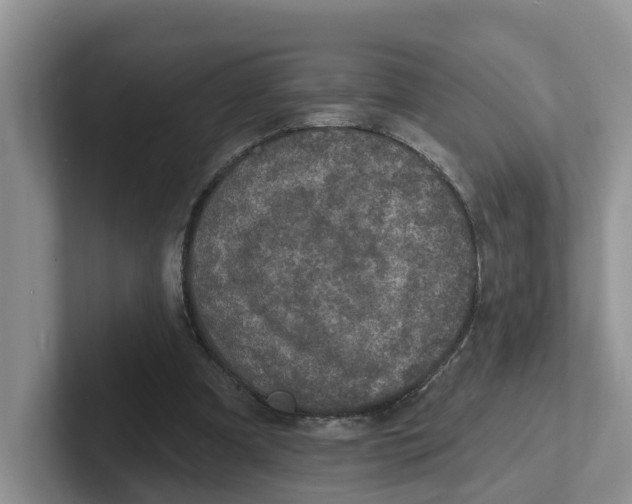X0000101700297200807311437