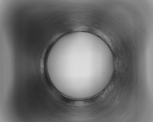 X0000101700298200807311437