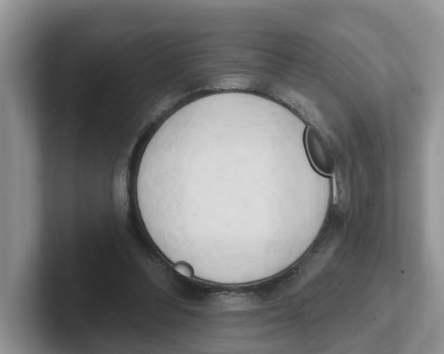 X0000101700300200807311437