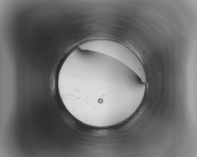 X0000101700301200807311437