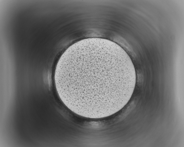 X0000101700302200807311437