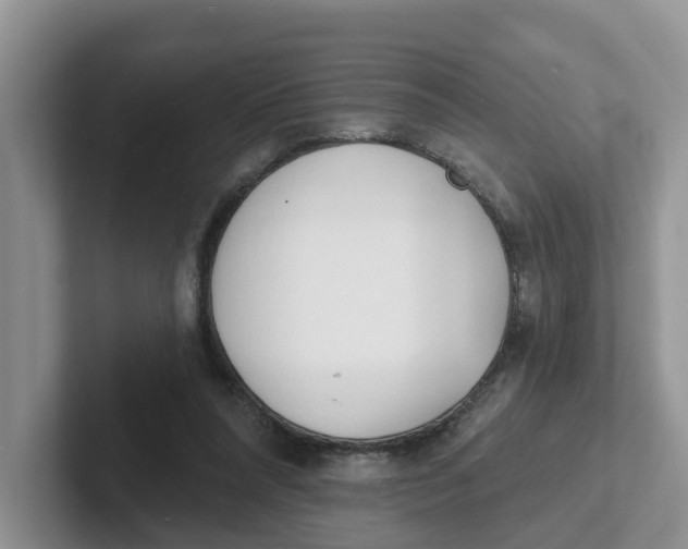 X0000101700304200807311437