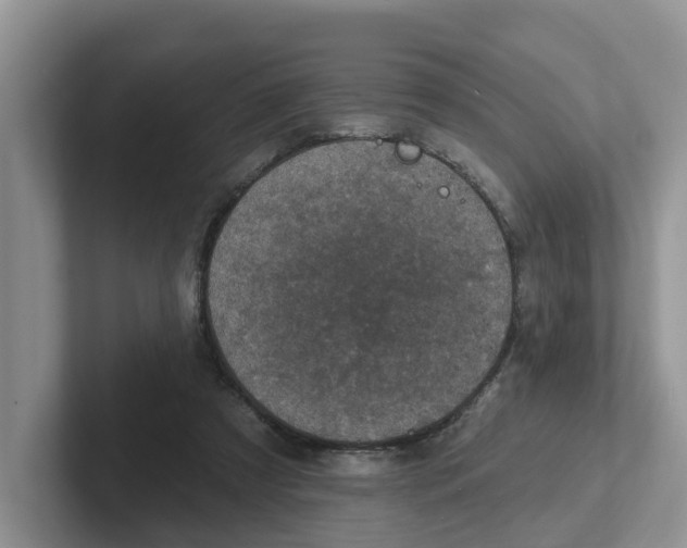 X0000101700305200807311437