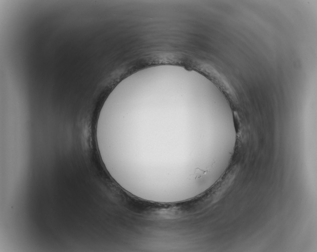 X0000101700306200807311437
