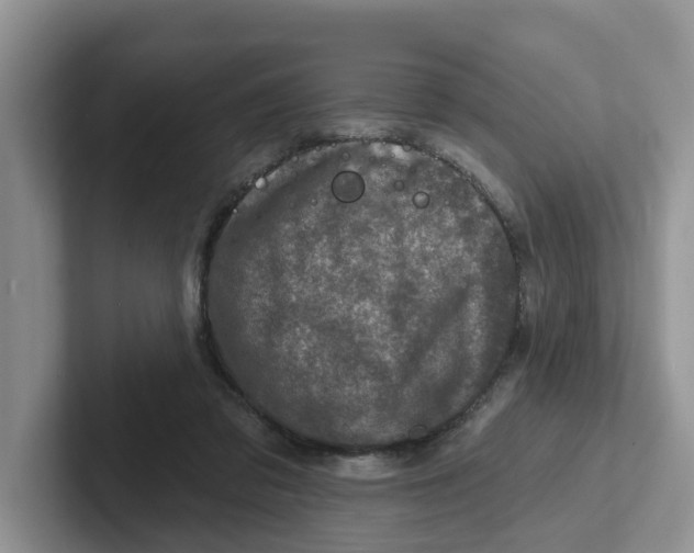 X0000101700309200807311437