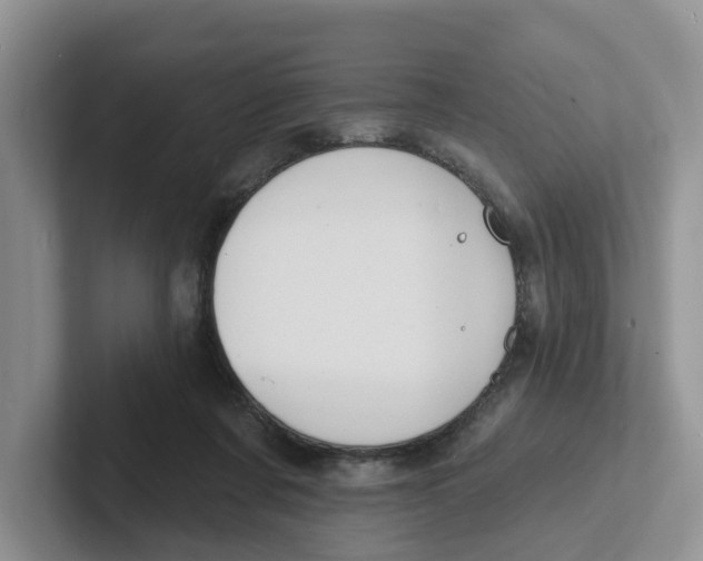 X0000101700311200807311437