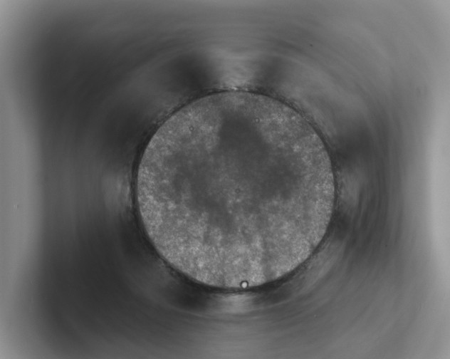 X0000101700313200807311437
