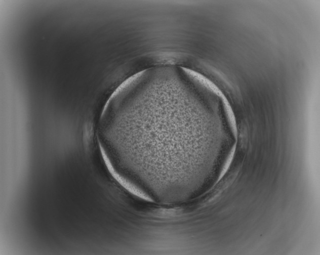 X0000101700314200807311437