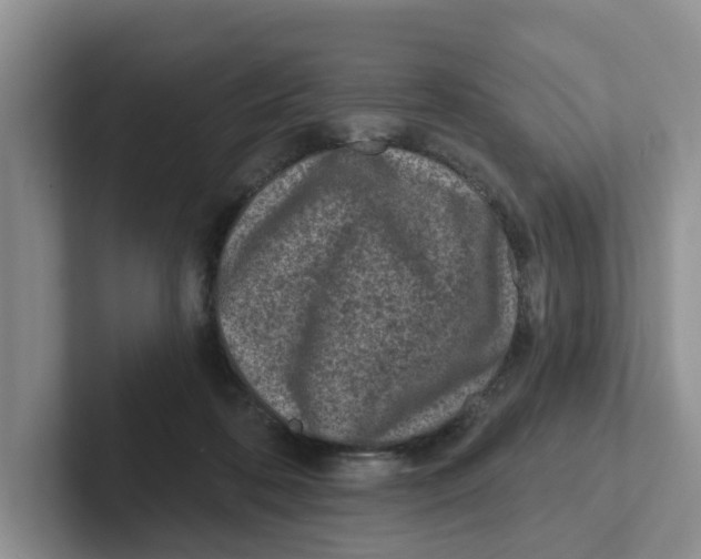 X0000101700316200807311437