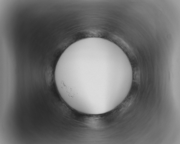 X0000101700318200807311437