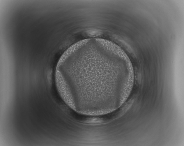 X0000101700319200807311437
