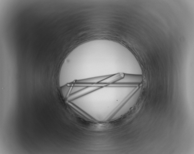 X0000101700323200807311437