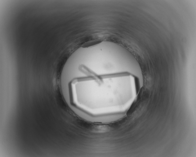 X0000101700324200807311437