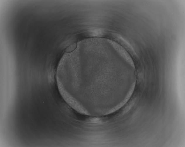 X0000101700325200807311437