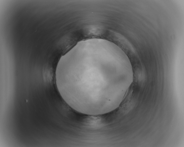 X0000101700328200807311437